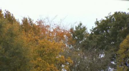 Den Bosch H1 - Kampong H1