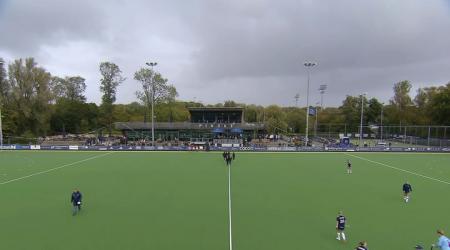 Pinoké D1 - Hurley D1